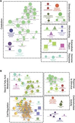 RNA-Seq Analysis of the Growth Hormone Transgenic Female Triploid Atlantic Salmon (Salmo salar) Hepatic Transcriptome Reveals Broad Temperature-Mediated Effects on Metabolism and Other Biological Processes